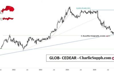 GLOB- CEDEAR – UPDATE