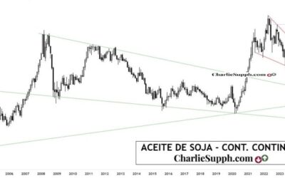 ACEITE DE SOJA – CONT. CONTINUO – UPDATE