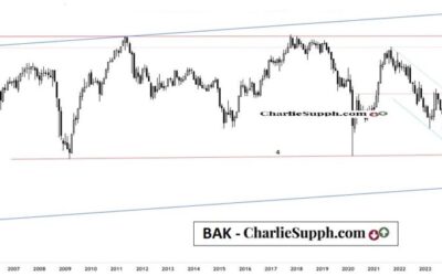 BAK – UPDATE