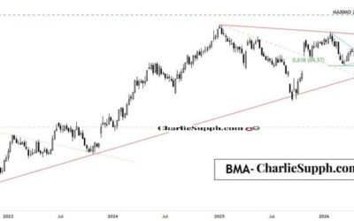BMA – UPDATE