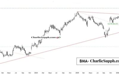 BMA – UPDATE
