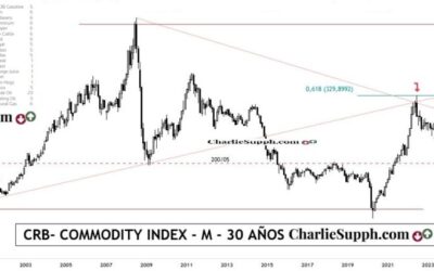 CRB- COMMODITY INDEX – UPDATE