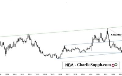 NEM – UPDATE