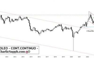 PETROLEO – CONT. CONTINUO – UPDATE