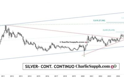 SILVER- CONT. CONTINUO- UPDATE