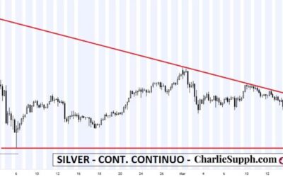 SILVER- CONT. CONTINUO- COMP 4HS – UPDATE