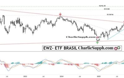 EWZ – ETF BRASIL – UPDATE